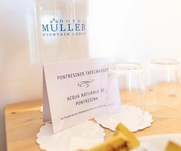 Otel Muller - Mountain